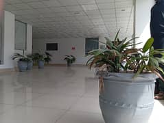 1200sqft Very Neat And Clean