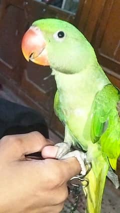clore. green