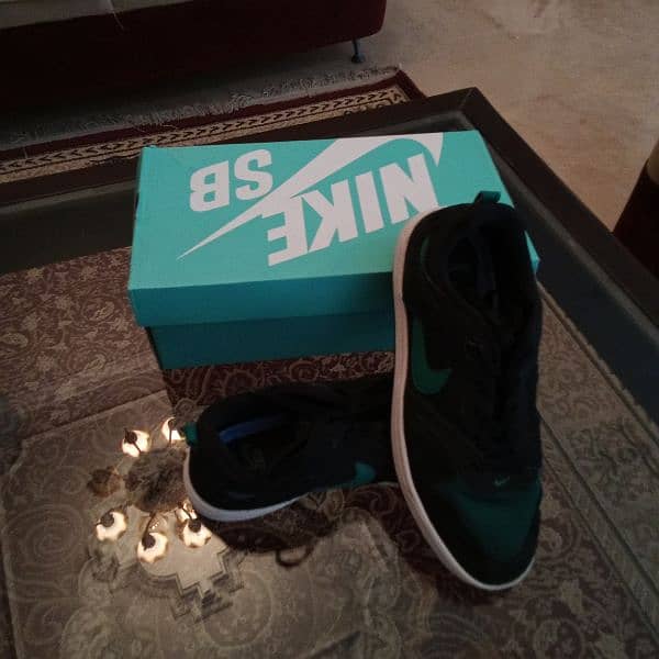 nike dunks 0