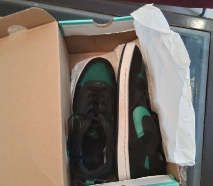 nike dunks 5