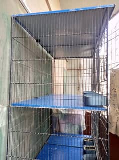 Birds Cage for Sale