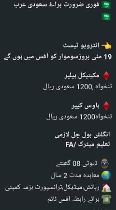 JOBS IN NEON CITY SAUDIA ARABIA