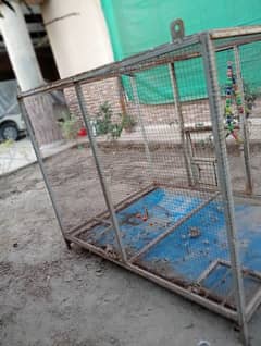 I am selling Bird and Hen cage