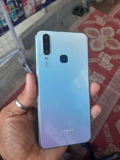 vivo
