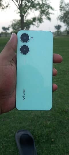 vivo