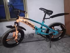 20inch morgan suspension cycle disc brakes full working 10/10 conditon