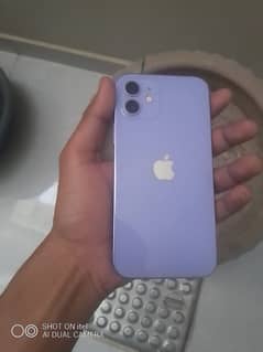 iphone 12 purple clor 10/10 128 gb price almost final thori kami hogi