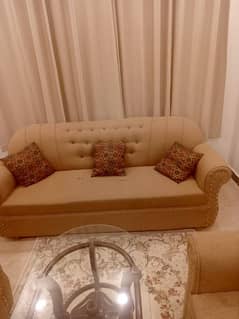 camel colour