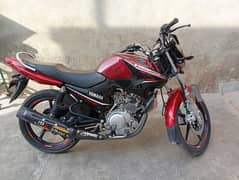 Yamaha