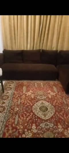 purple colour sofa l shaped