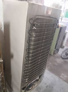 oreint Medium size fridge in  Jeniun  condition