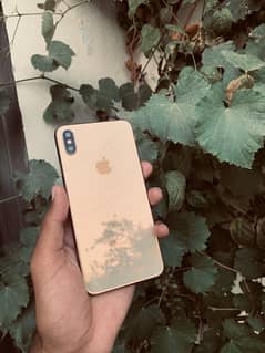 iPhone xs max