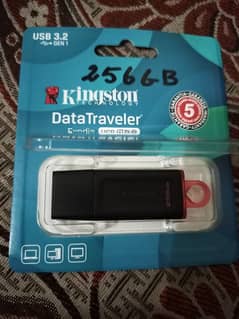 Original Kingston 256 GB USB