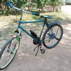 phoenix cycle