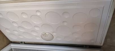 Haier D Freezer Model 405