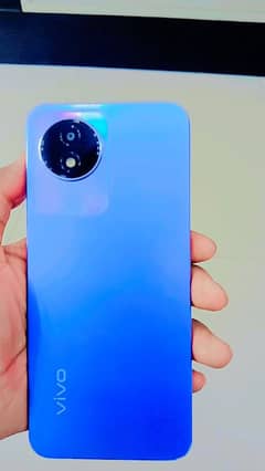 vivo