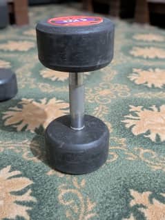 10 kg dumbbell pair for sale