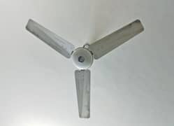 Pak Fan almost new