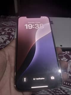 iPhone 12 Pro Max 256GB non PTA