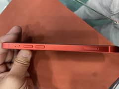 I phone 12 Pta Approved