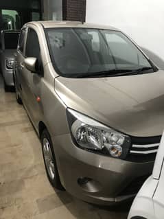 Cultus 2019 model