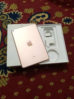 Ipad mini 5