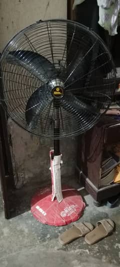 new fan