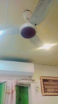 ceiling fans urgent for sale
