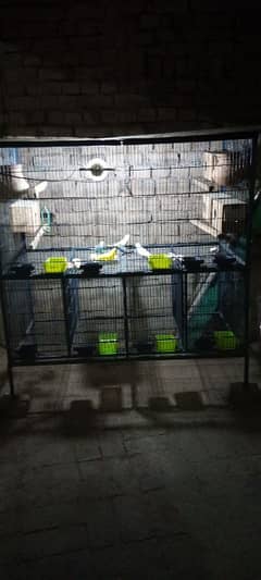 Cage for Birds