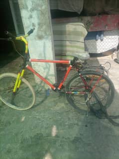 Willing cycle