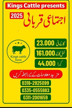 اجتماع قربانی 2025