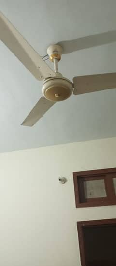 Indus fan