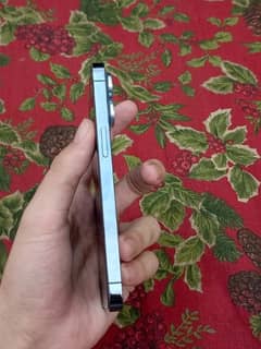 13 pro non pta 256 81 hlt 10/10