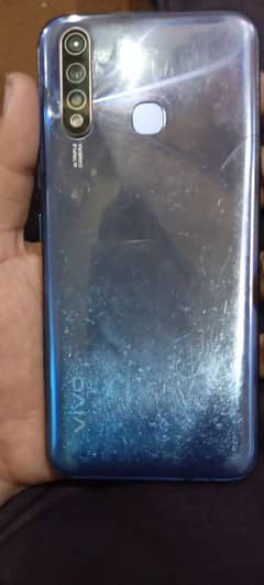 vivo