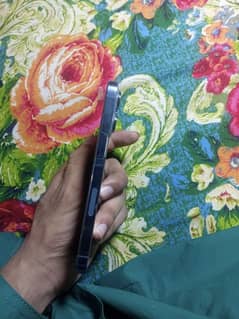 I phone 13 pro jv