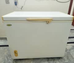 Waves Deep Freezer