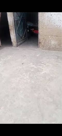 HOUSE FOR SALE PIPRI SHAH NAWAZ GOTH