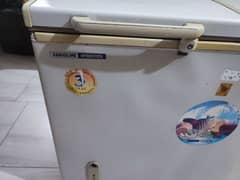 varoline 2 door deep freezer