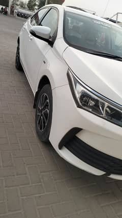 Toyota Corolla GLI 2019/20 superwhite