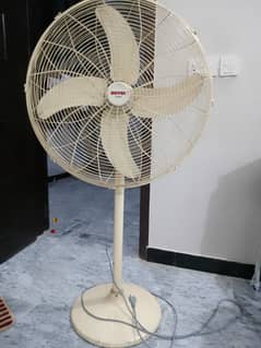 Royal padestal fan