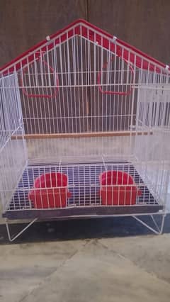 Birds cage