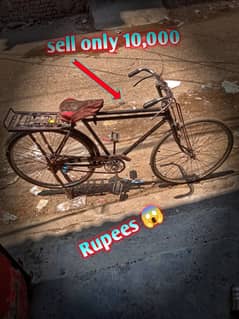 Baba siycle