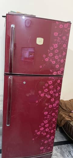 national fridge