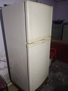 dowlance fridge 03126174141