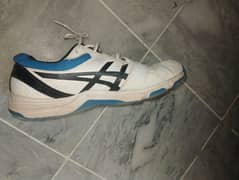 asics batting spike