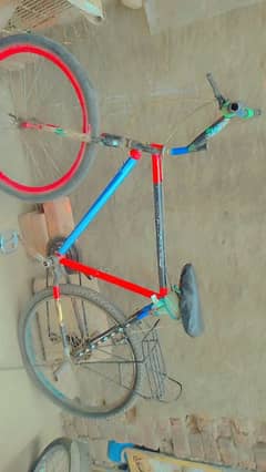 phonix Cycle