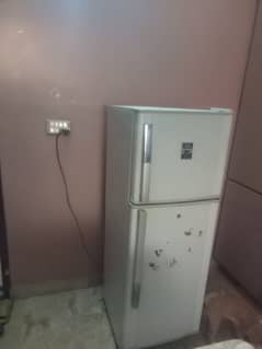 Refrigerator for Bakra Eid