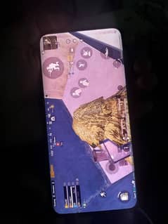 03106009954