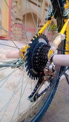 bicycle