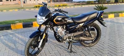 Yamaha YB125Z DX Black lush Exchange Possible